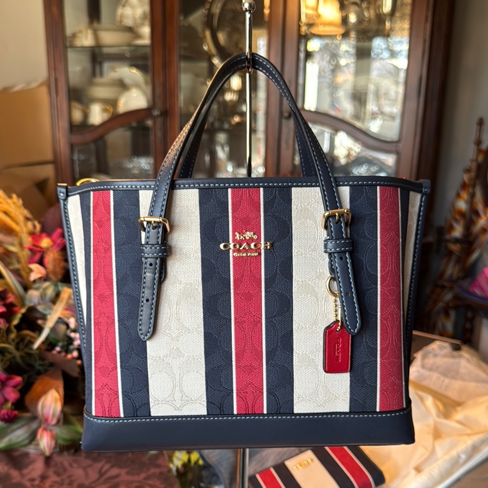 Coach Multicolor Striped Women's Bag - Picture 12 of 16